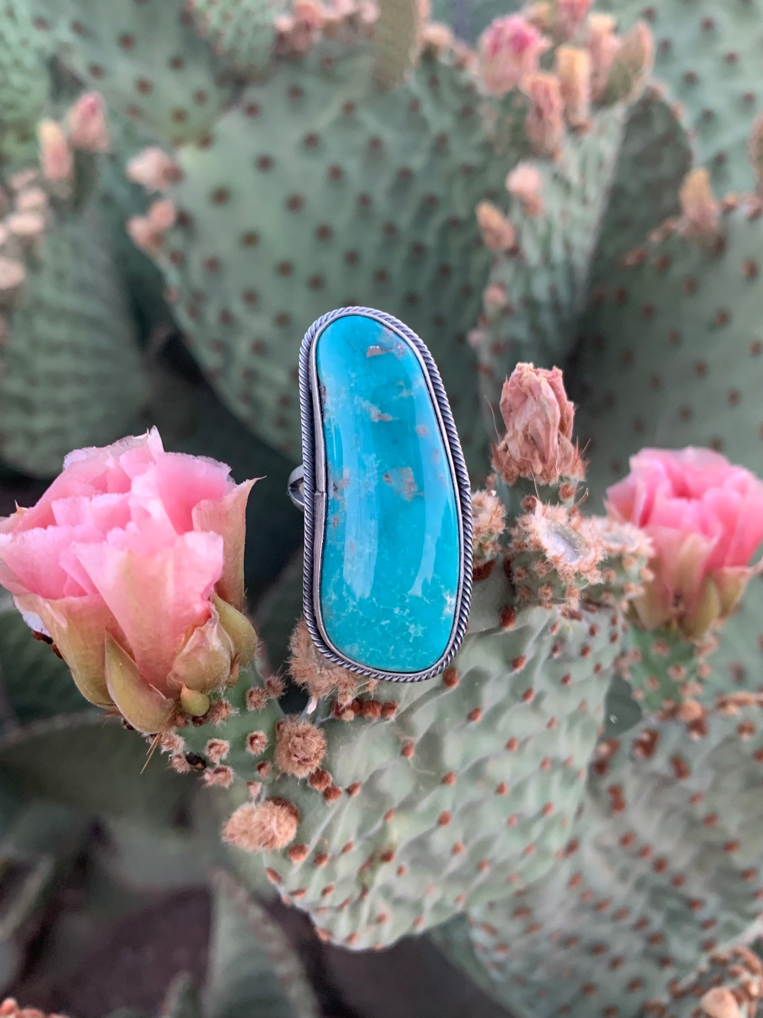 Statement Turquoise ring size 9