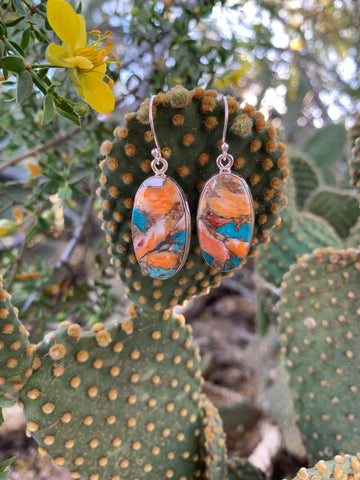 Spiny Oyster & Turquoise earrings