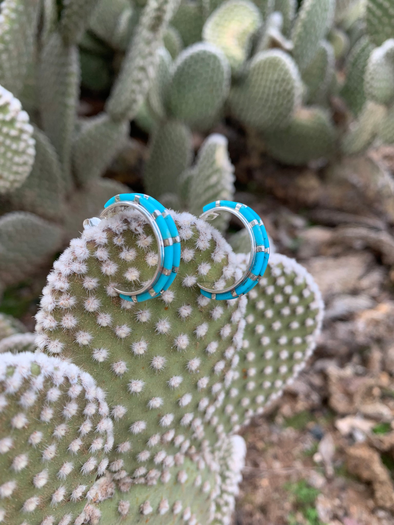 Hoops of Turquoise stud earrings